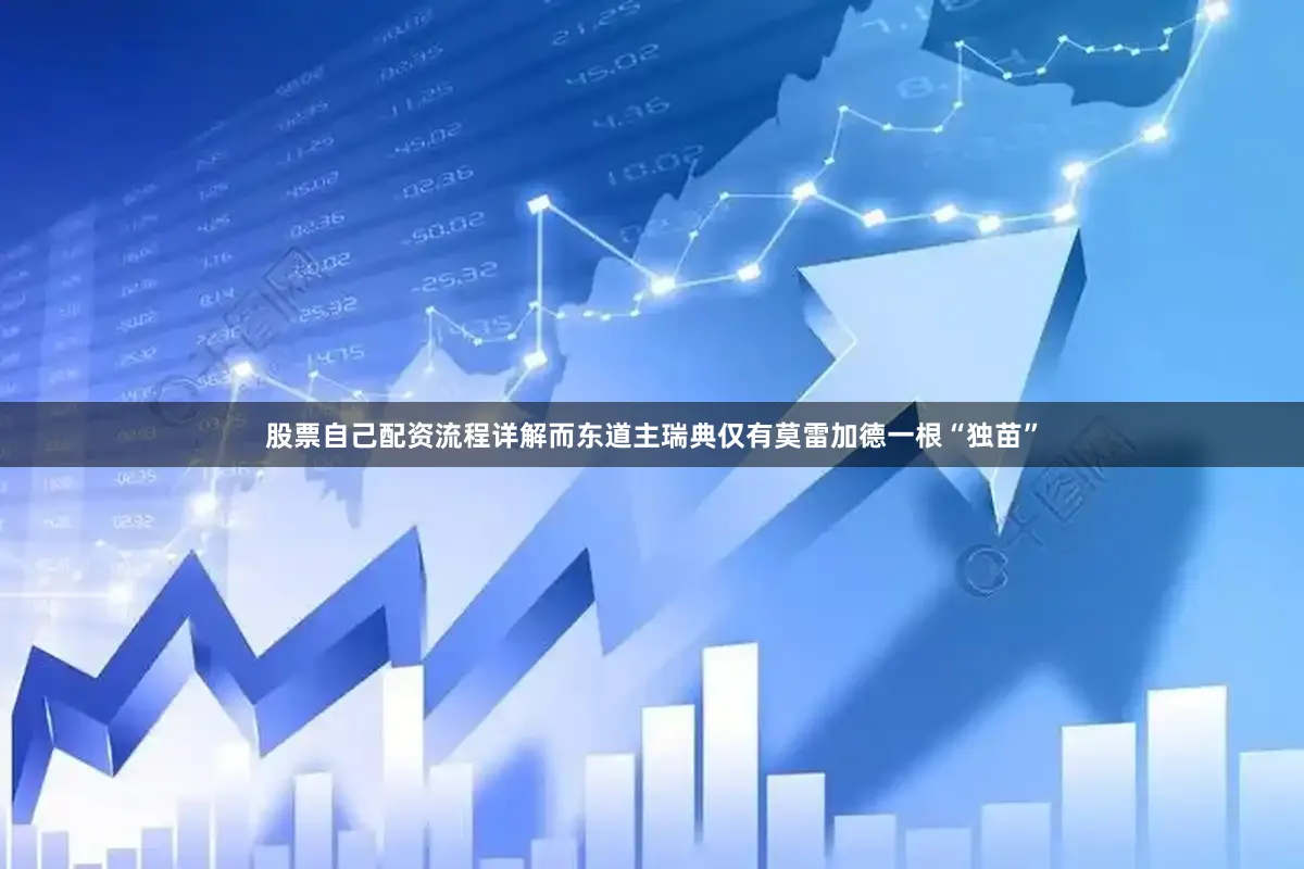 股票自己配资流程详解而东道主瑞典仅有莫雷加德一根“独苗”